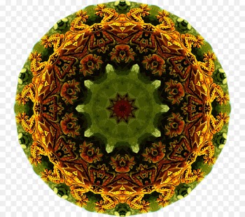 Lizard Openclipart Clip art Drawing Symmetry - lizard 