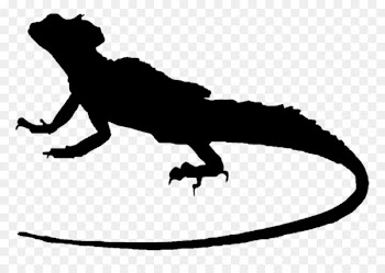 Lizard Plumed basilisk Common basilisk Green iguana -  