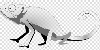 Lizard Reptile Gecko Common Iguanas , White lizard transparent background PNG clipart