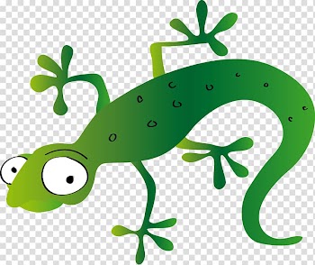Lizard Turun Seudun Vanhustuki ry Keuruu , lizard transparent background PNG clipart