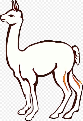 Llama