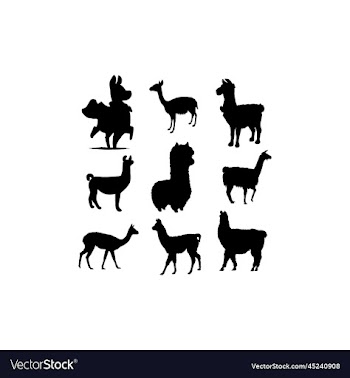 llama animal set silhouette design