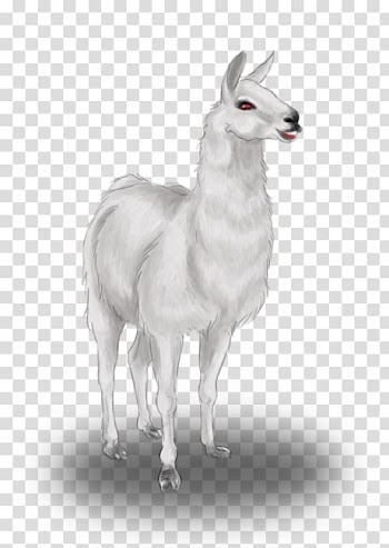 Llama Drawing Pack animal Animal Husbandry, Lama animal transparent background PNG clipart