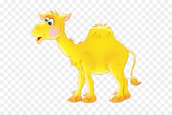 Llama, Drawing, Royaltyfree, Camel, Camelid PNG