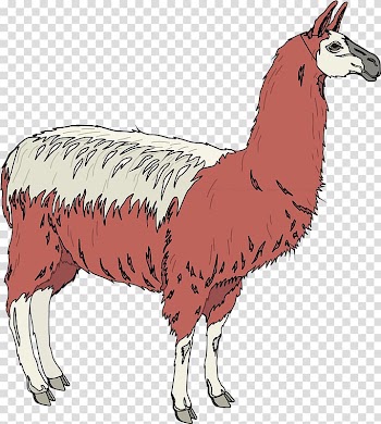 Llama Sheep Alpaca Animal , MAYONAISE transparent background PNG clipart