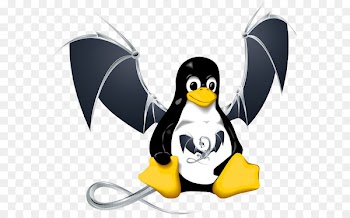 LLVM Free Software Foundation Free and open-source software GNU - compiler business 