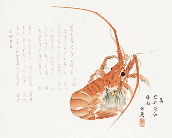 Lobster and common hepatica (1862) | Free Photo Illustration - rawpixel