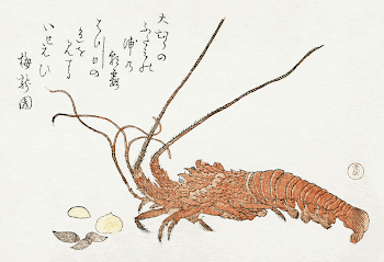 Lobster and Shells (1800-1805) by Kubota | Free Photo Illustration - rawpixel