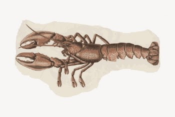 Lobster clipart, food illustration vector. | Free Vector - rawpixel