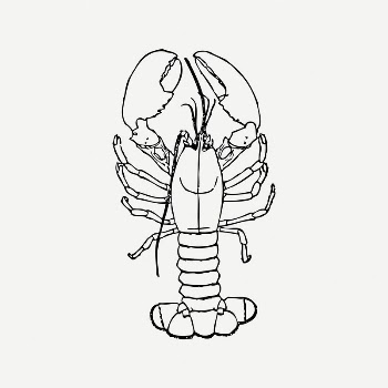 Lobster collage element, seafood illustration | Free PSD Illustration - rawpixel