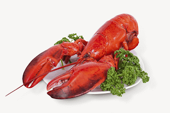 Lobster dish, collage element psd | Free PSD - rawpixel