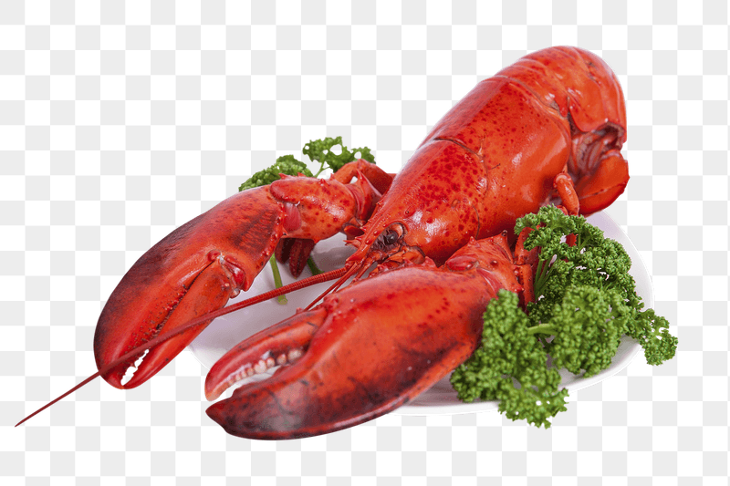 Lobster dish png sticker, transparent | Free PNG - rawpixel