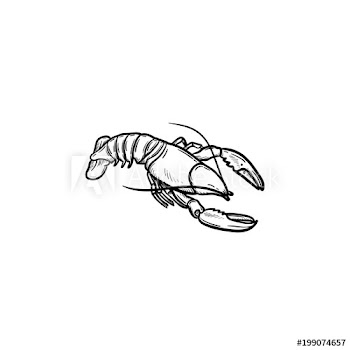 Lobster hand drawn outline doodle icon