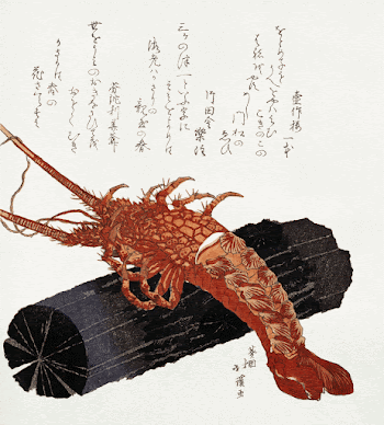Lobster on a Piece of Charcoal | Free Photo Illustration - rawpixel