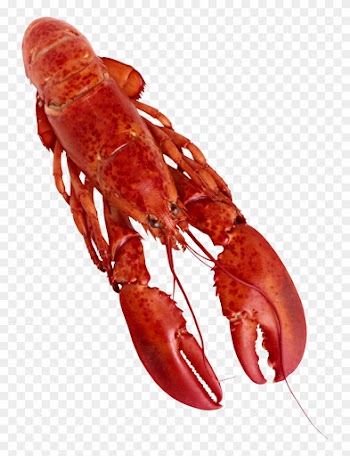 Lobster Png Clipart - Food