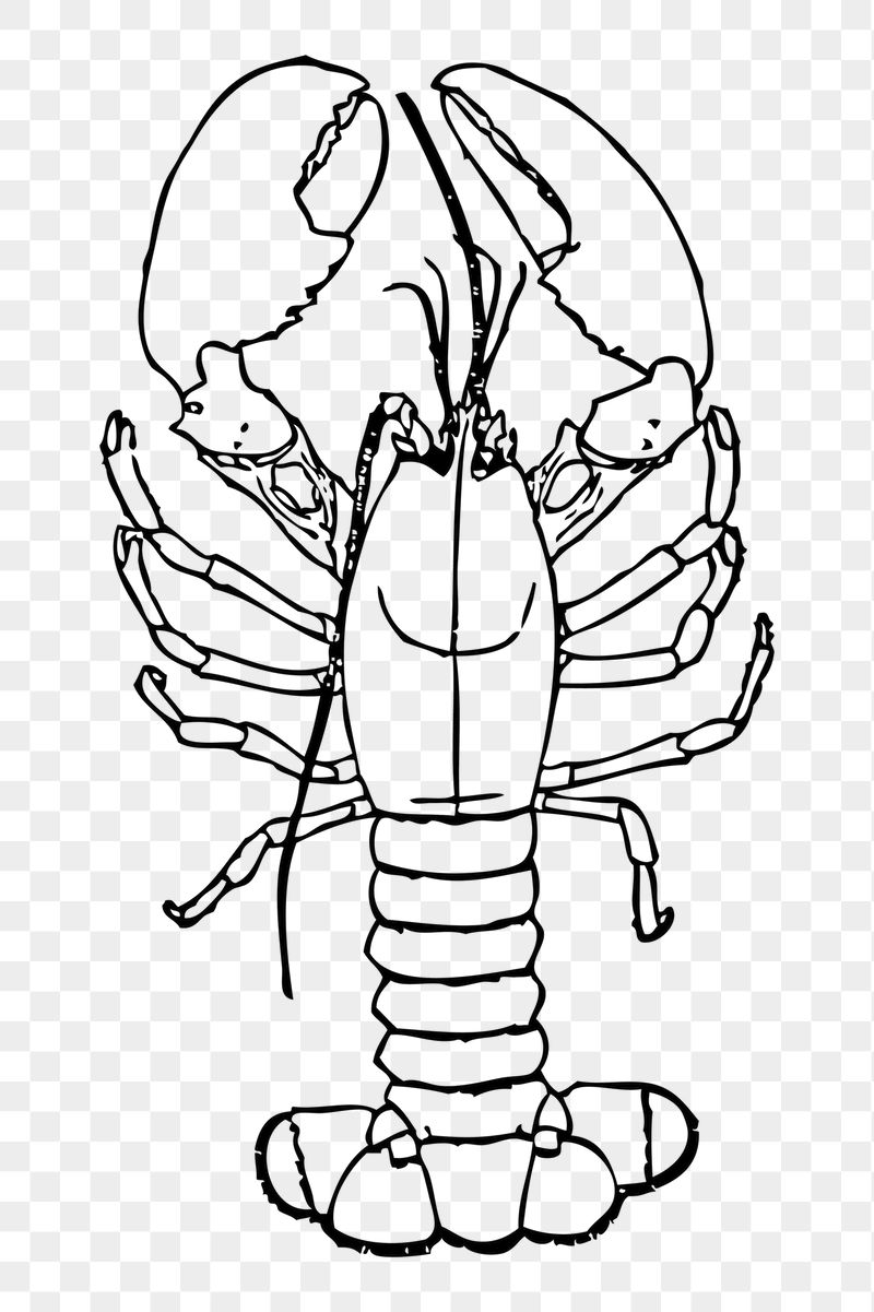 Lobster png sticker seafood illustration, | Free PNG - rawpixel