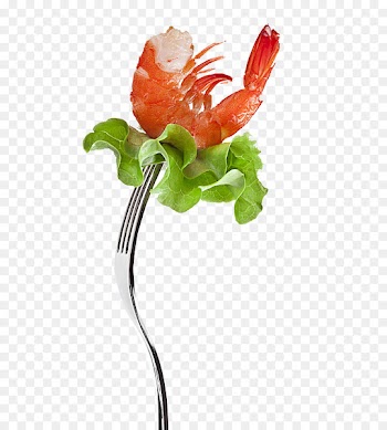 Lobster Seafood Ingredient Recipe - Gourmet lobster 