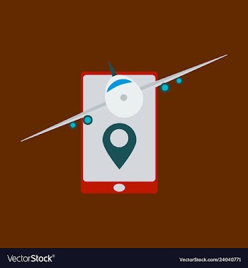 Location icon with plane in mobile phoneflat vector image