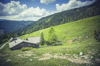          Log Cabin Mountain Forest Free Photo     