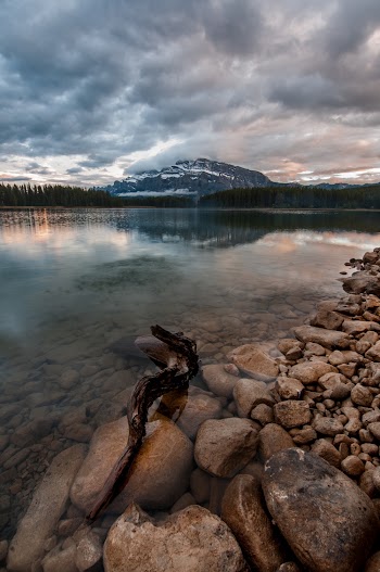 Log on Rocks Near Body of Water