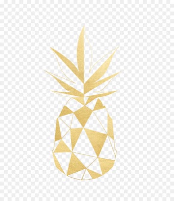 Login Password Pineapple Personal identification number Fruit - gold pineapple 