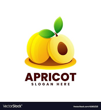 logo apricot gradient colorful style