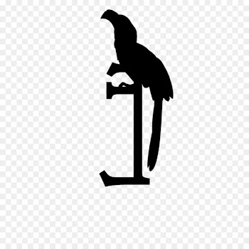 Logo Beak Line Clip art Angle -  