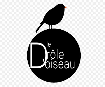 Logo, Brand, Beak, Bird PNG