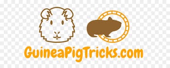 Logo Brand Clip art Font Volleyball - guinea pig house 