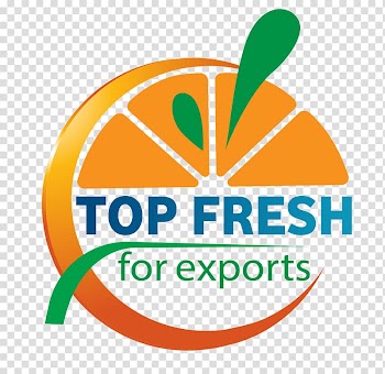 Logo Brand Font, fresh fruits transparent background PNG clipart