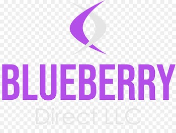 Logo Brand Font Product Clip art - bluberries illustration 