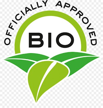 Logo, Brand, Lemon, Green PNG