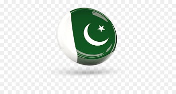 Logo Brand - pakistan flag 