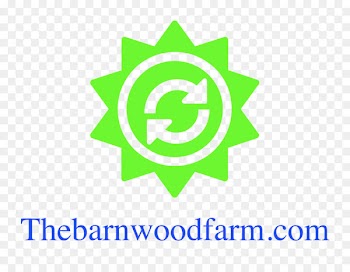 Logo Brand Product Font Clip art - barnwood pattern 