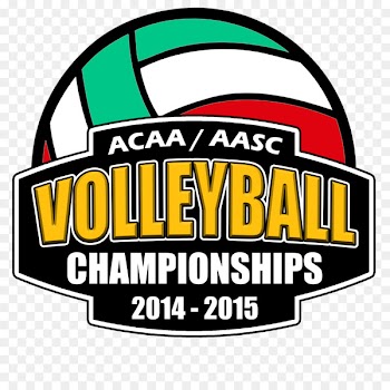 Logo Brand Trademark Clip art Volleyball - Championship Volleyball Designs 