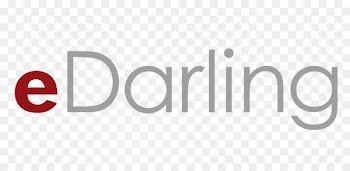 Logo Brand Trademark Font Product - darling ribbon 