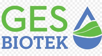 Logo Brand Trademark Product design - gesugrave vector 