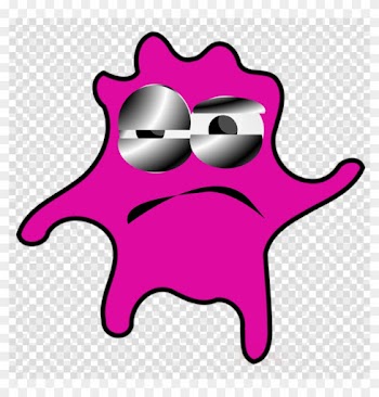 Logo Camera Icon Png Transparent