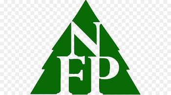 Logo Clip art Brand Leaf Cedar Forest -  