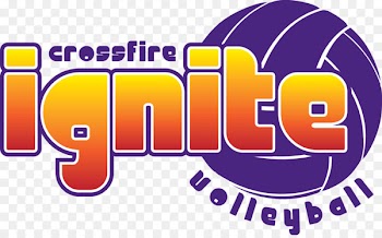 Logo Curriculum Sport Volleyball Brand - volleyball setter 