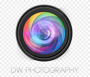 Logo Design By Taz For Ileads - Camera Lens