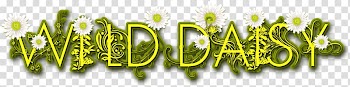 Logo Desktop Brand Computer Font, Computer transparent background PNG clipart