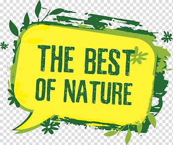 Logo Euclidean Illustration, leaves transparent background PNG clipart