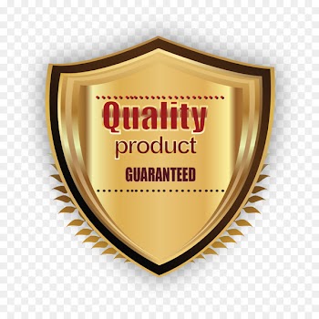 Logo Euclidean vector Icon - Royal Gold Medal vector 