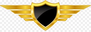 Logo Euclidean vector - Vector golden badge shield design 