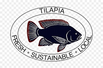 Logo Fish Tilapia Label Brand - tilapia 