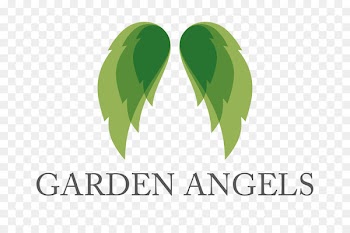 Logo Font Brand Leaf Desktop Wallpaper - spindle insignia 