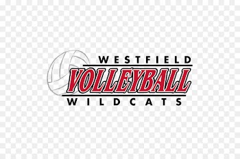 Logo Font Brand Product Line - volleyball stock photo 