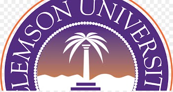 Logo Font Brand Purple Line - university of sc 