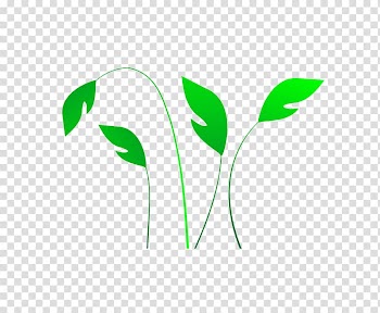 Logo Font, leaf transparent background PNG clipart